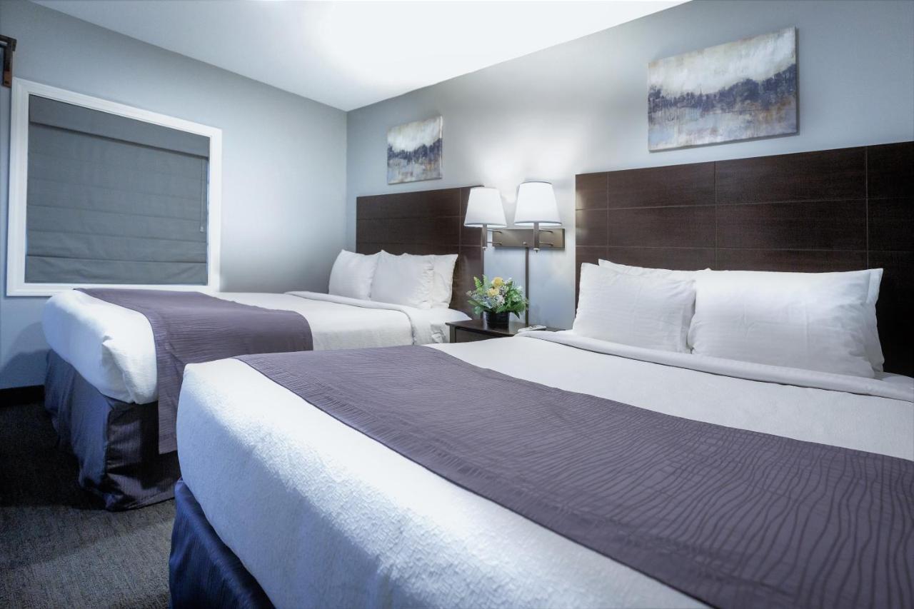 Mt. Madison Inn & Suites Gorham Eksteriør billede